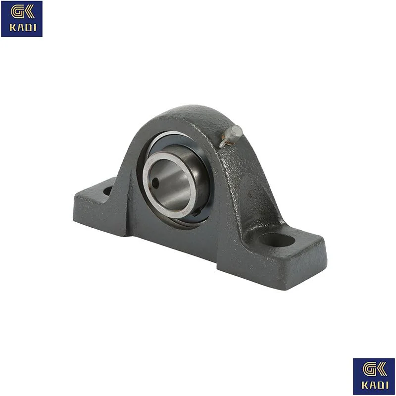 Ucpa213 Made in China Pillow Block Bearing with Housing Insert Bearing