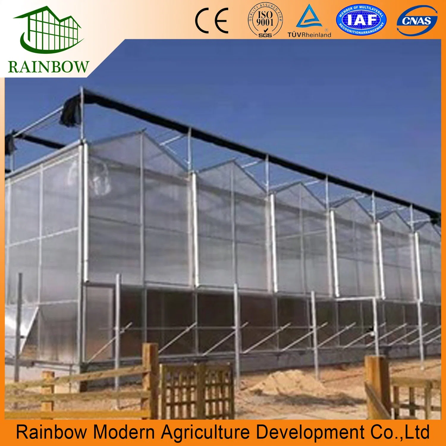 Agricultural Polycarbonate Greenhouse with Hydroponic Greenhouse Systems