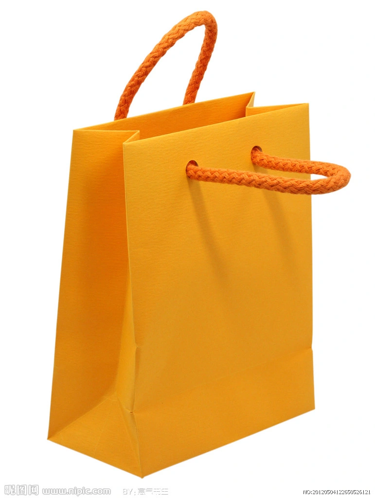 Rope Handle Paper Gift Bags From Printed Garments Bags Factory (FLP-8952)