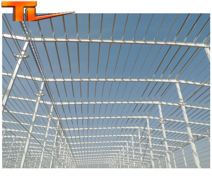 Steel Structure Facotry Manufacture Prefab Prefabricated Construction Building