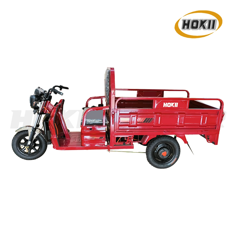 2023 Fabricante Design Novo Motor Hokii elevadores de carga triciclo a motor de 1000 W 1500mm Caixa Longa Triciclo Electrico para venda