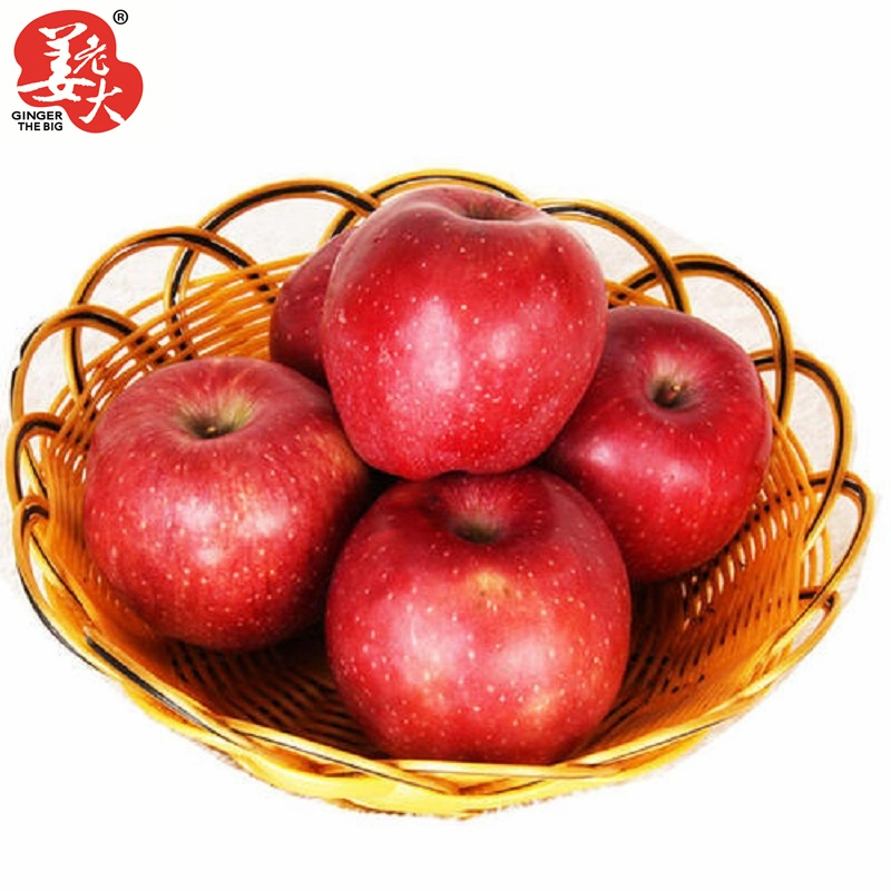 Fresh Delicious Tasty Paper Bag Red Gala Apple