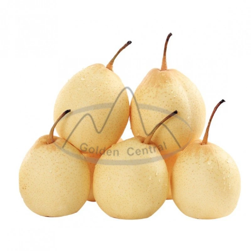 Factory Wholesale/Supplier Sweet Juicy Fresh Yellow Ya Pears Gold Pears