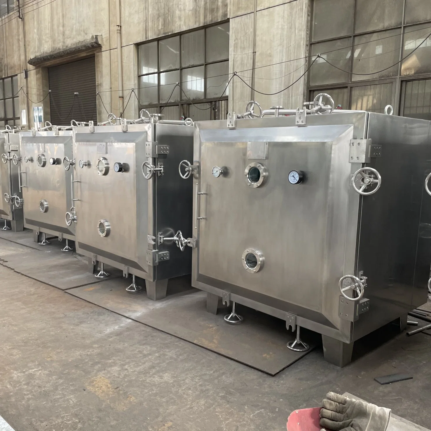 Fzg-15 Series Low Temperature Vacuum Drying Equipment for Preserved Fruit, Green Skin Mango