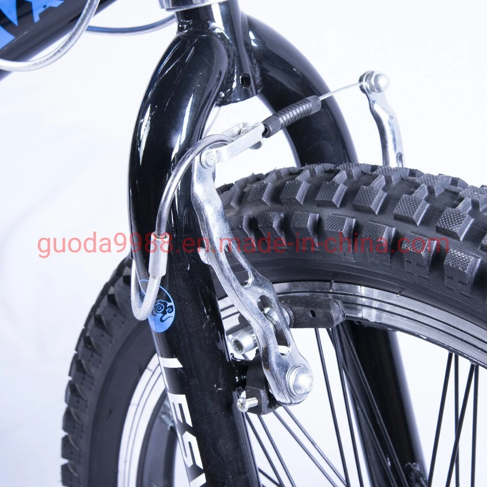 20-Inch Oec Steel BMX with Quick Release