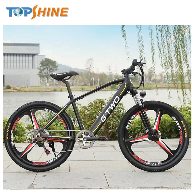 Newest OEM ODM Lithium Battery Mountain Electric Bike with GPS Remotely Lock Motor