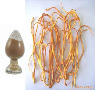 Birthplace of Chinese Mushrooms, Provide Professional, Natural Polysaccharide Products, Cordyceps Militaris Polysaccharide