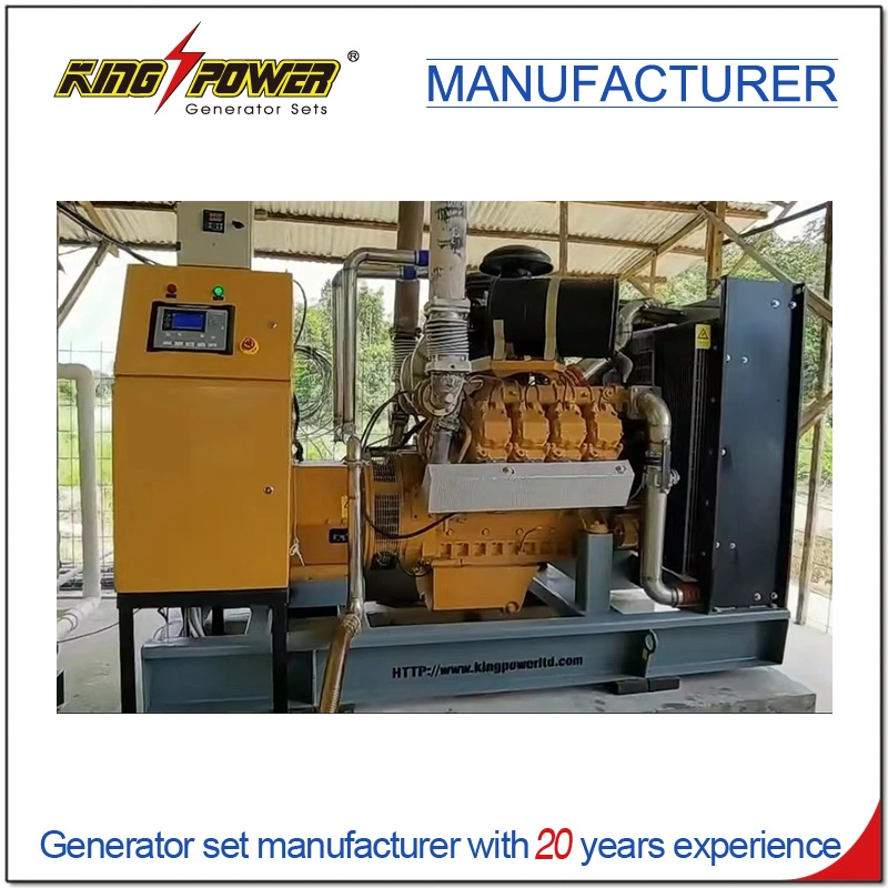 Professional Supplier of 7*24 Hours 200kw Open Silent Natural Gas Biogas CNG LNG LPG Generator