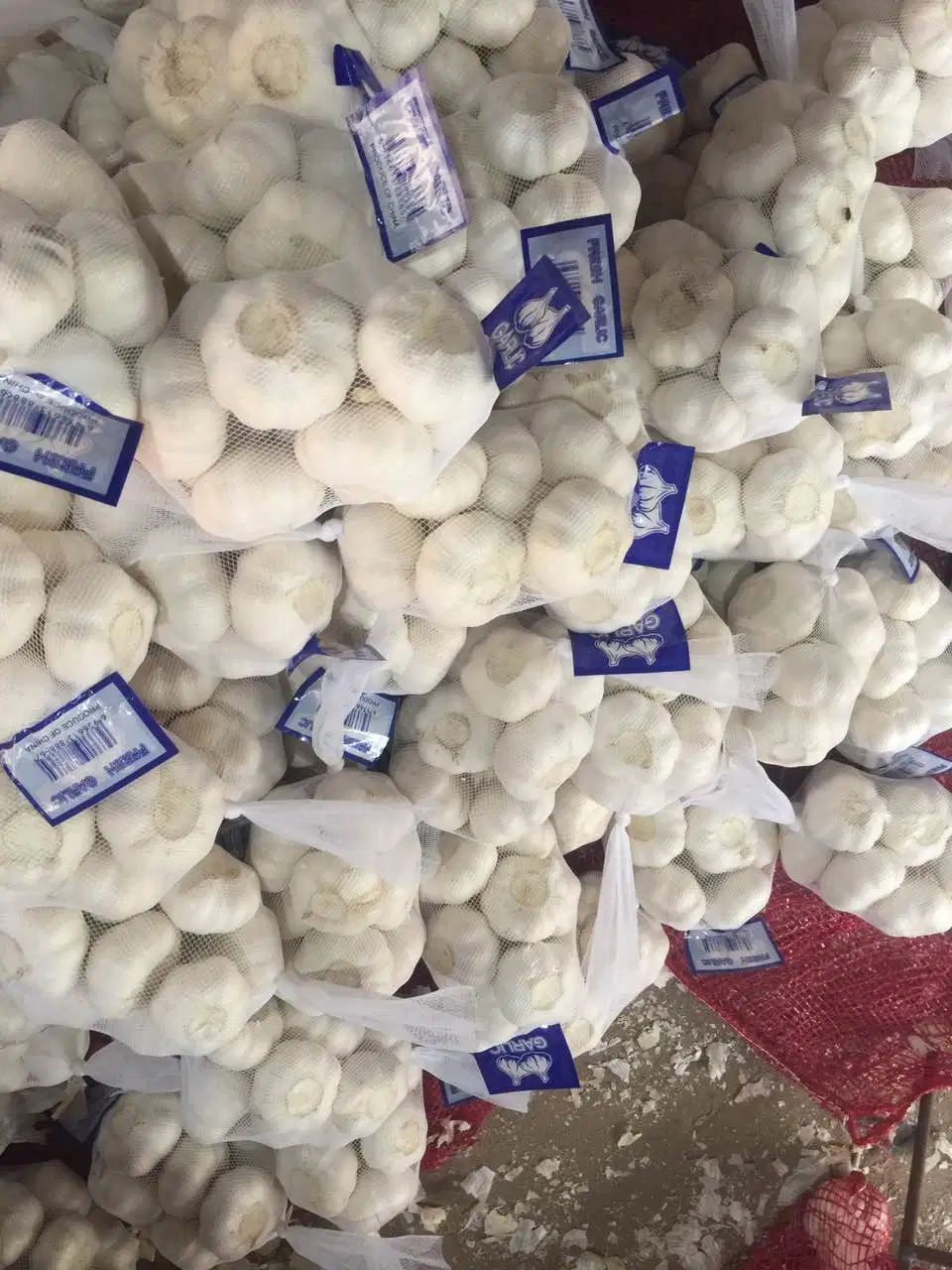 New Crop China White Garlic in Small Package