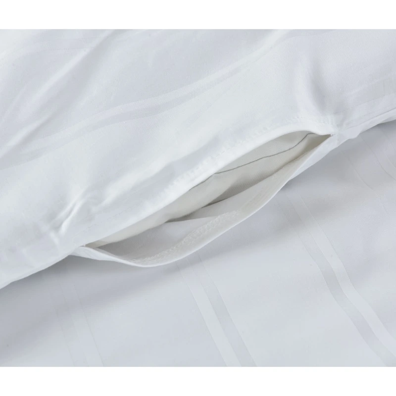 Ropa de cama de hotel Tamaño Queen Comforter Blanco Goose Down Duvet Cubierta