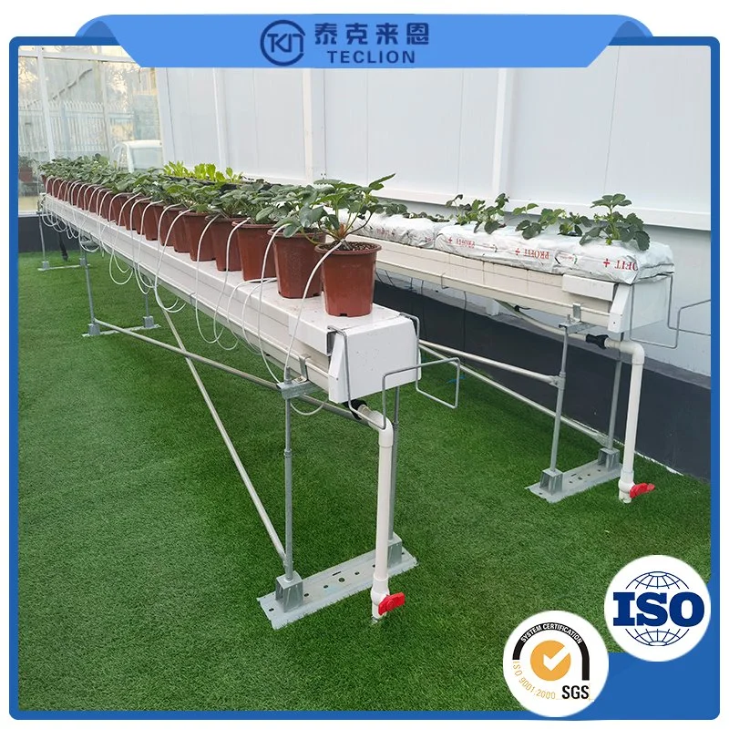 Vertical Hydroponic Plant Planting System in Greenhouse to Plant Vegetables, Fruits and Medicine