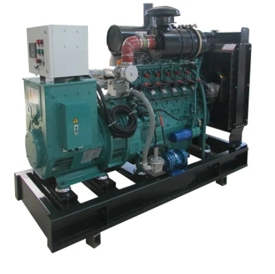 20kw 30kw 40kw 50kw 60kw 80kw 100kw 120kw 150kw Natural Gas Generator Price