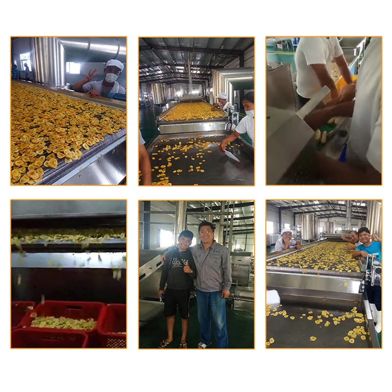 20-50kg/H Shop Farm Banana Chips Plantain Chips Making Machines Banana Chips Processing