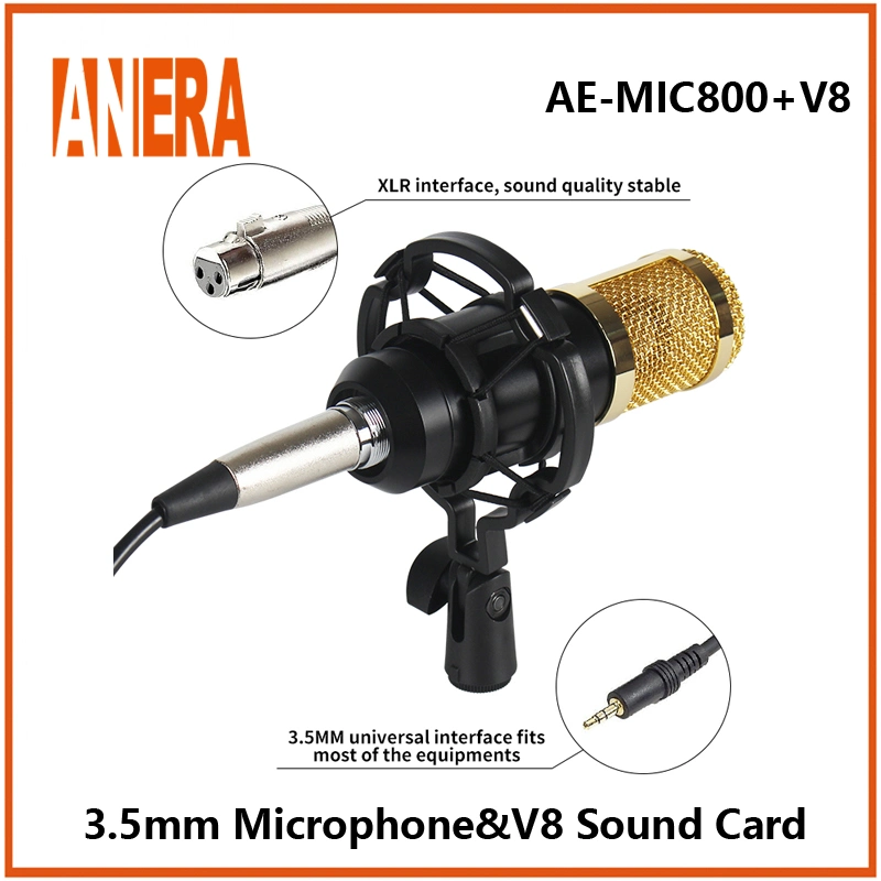 Microfone de gravação de voz profissional Bm800 microfone condensador com som V8 Conjunto de kit de placa de áudio Podcast para módulo de cartão