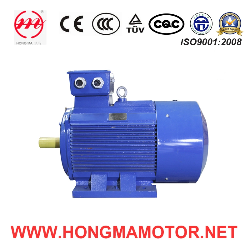 Ie1 Eff2 Series Cast-Iron Housing Asynchronous Electric Motor with 2pole-22kw