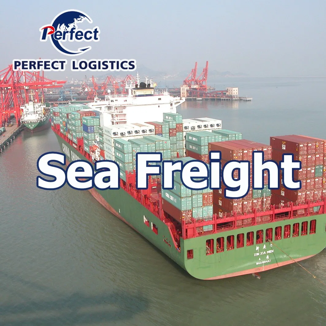 Ocean Shipping Fowarding Agent From China to Canada/USA/Vancouver/Toronto