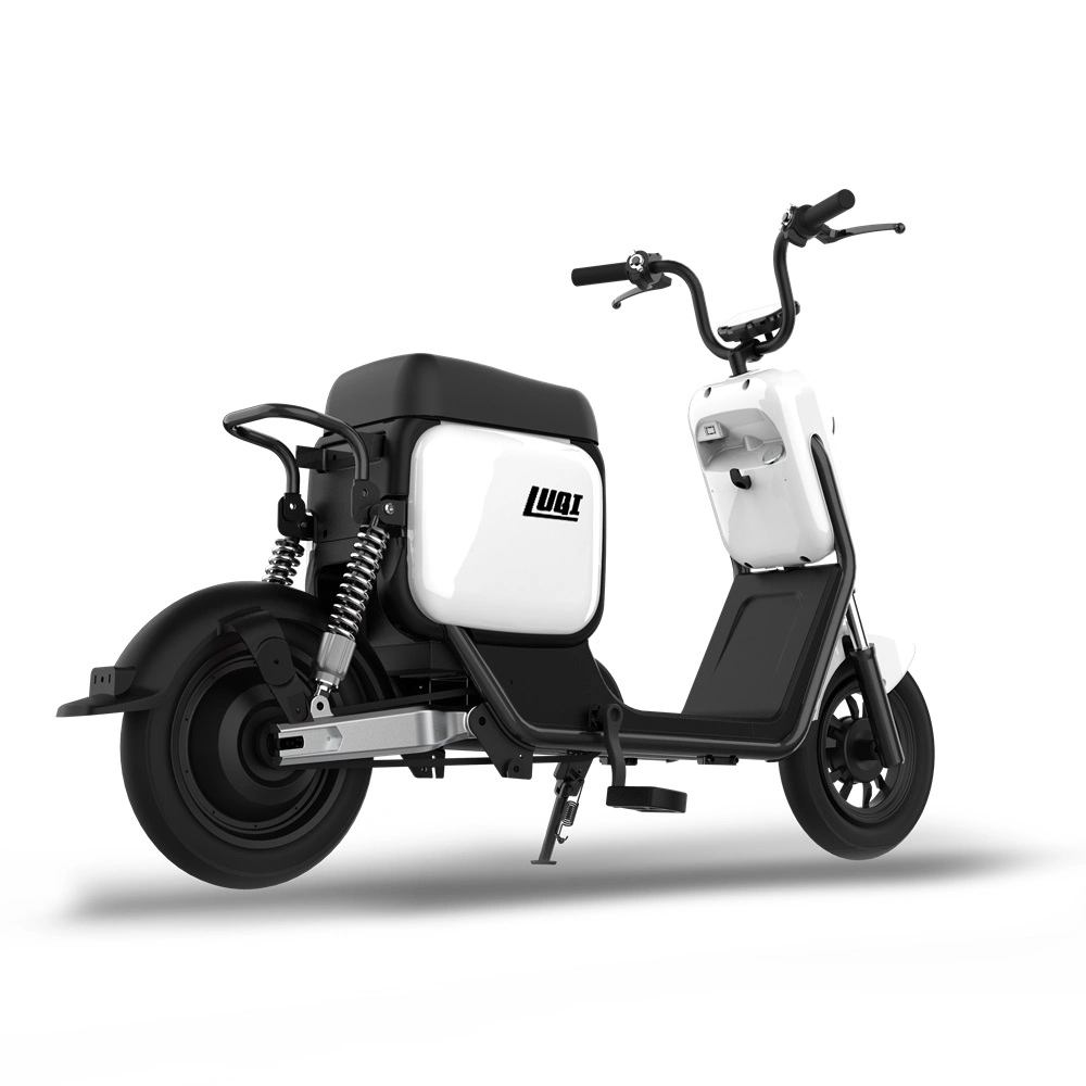 2021 Removable Lithium Battery Mini Electric Motorcycle for Outdoor Sports