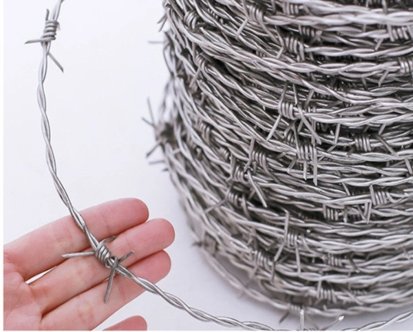 Hot Dipped Galvanized Wire Reverse Twisted Barbed Wire High Strength Steel Wire for Mesh Security Fencing