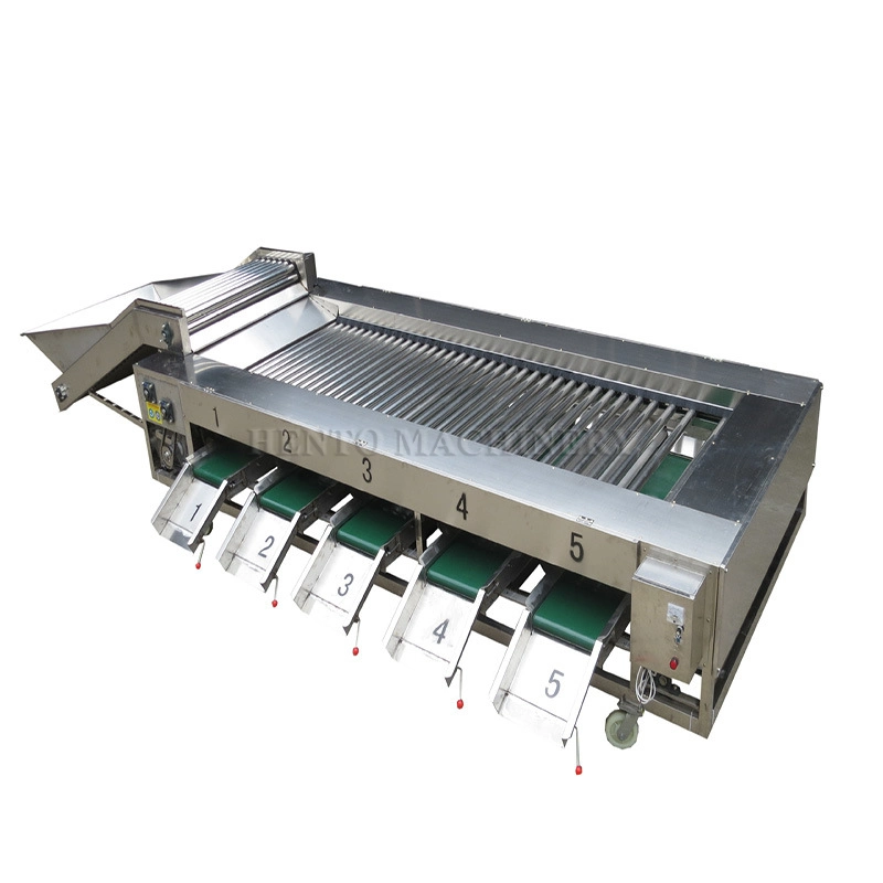 High Automation Fruit Vegetable Grading Sorting Machine by Size