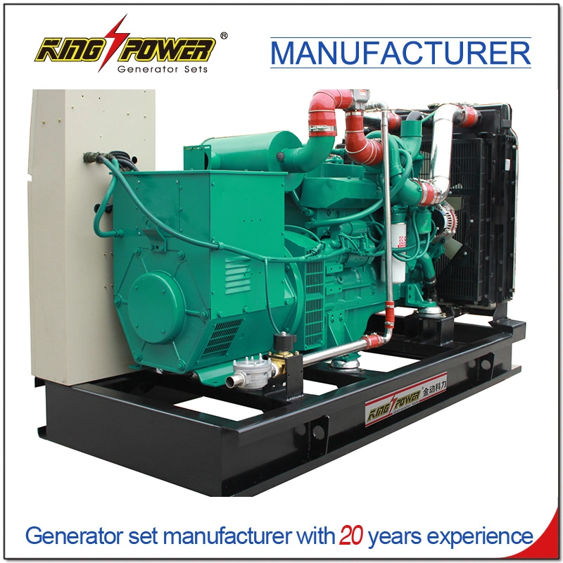 24kw Professional Supplier of Silent Natural Gas CNG LPG Generator