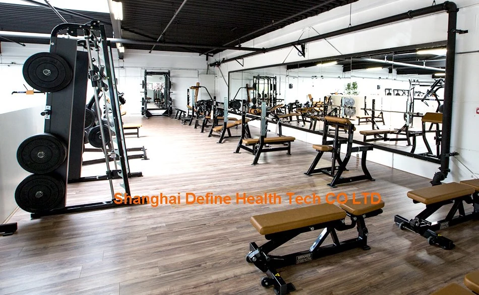 Definieren Sie Stärke, definieren Gesundheitstechnik, Hammer Kraftmaschine, Fitnessgeräte, Gym-Maschine, leistungsfähigste Kraftgeräte, neu Beste Einstellbank (DHS-4005)