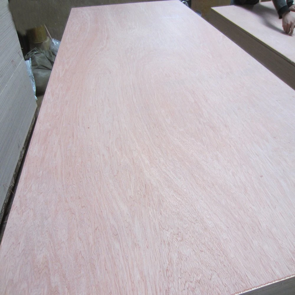 16mm 18mm Bintangor Furniture and Packing Plywood for Sale