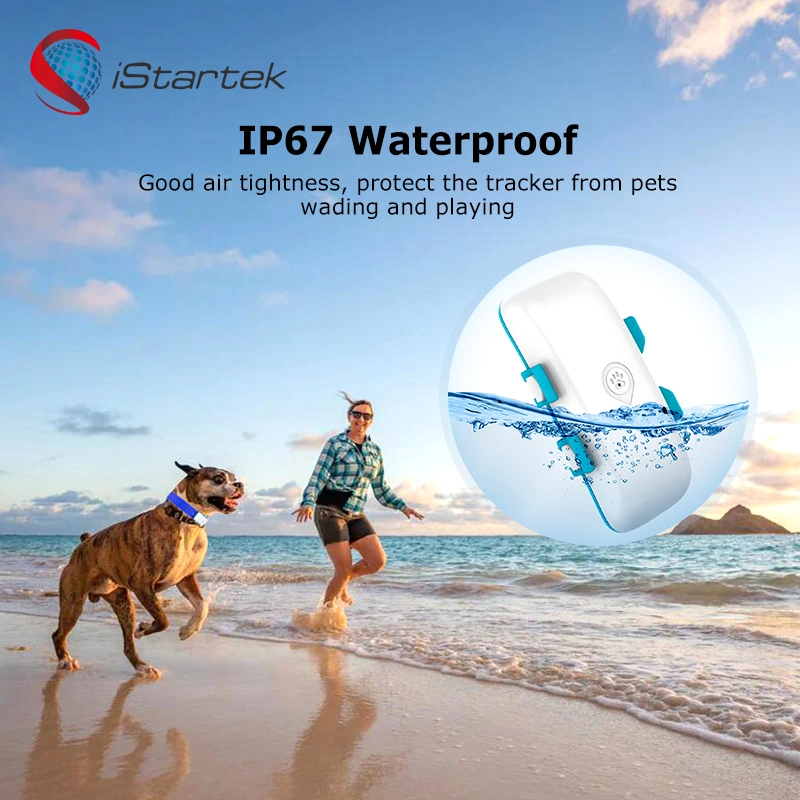 Anti GPS Tracker Gerät Tier Wasserdicht Pet Smart GPS Tracker Für Hunde Katze Kinderhalsband