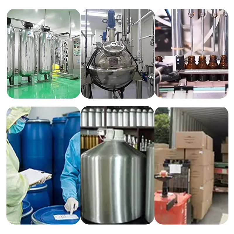 Hongkangbio Supply Vanillyl Butyl Ether CAS 82654-98-6 Food Aromatics Raw Materials