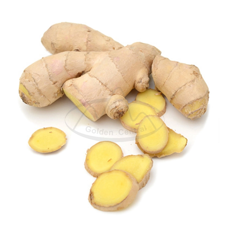 Hot Sale Fresh New Crop Yellow Fresh Ginger