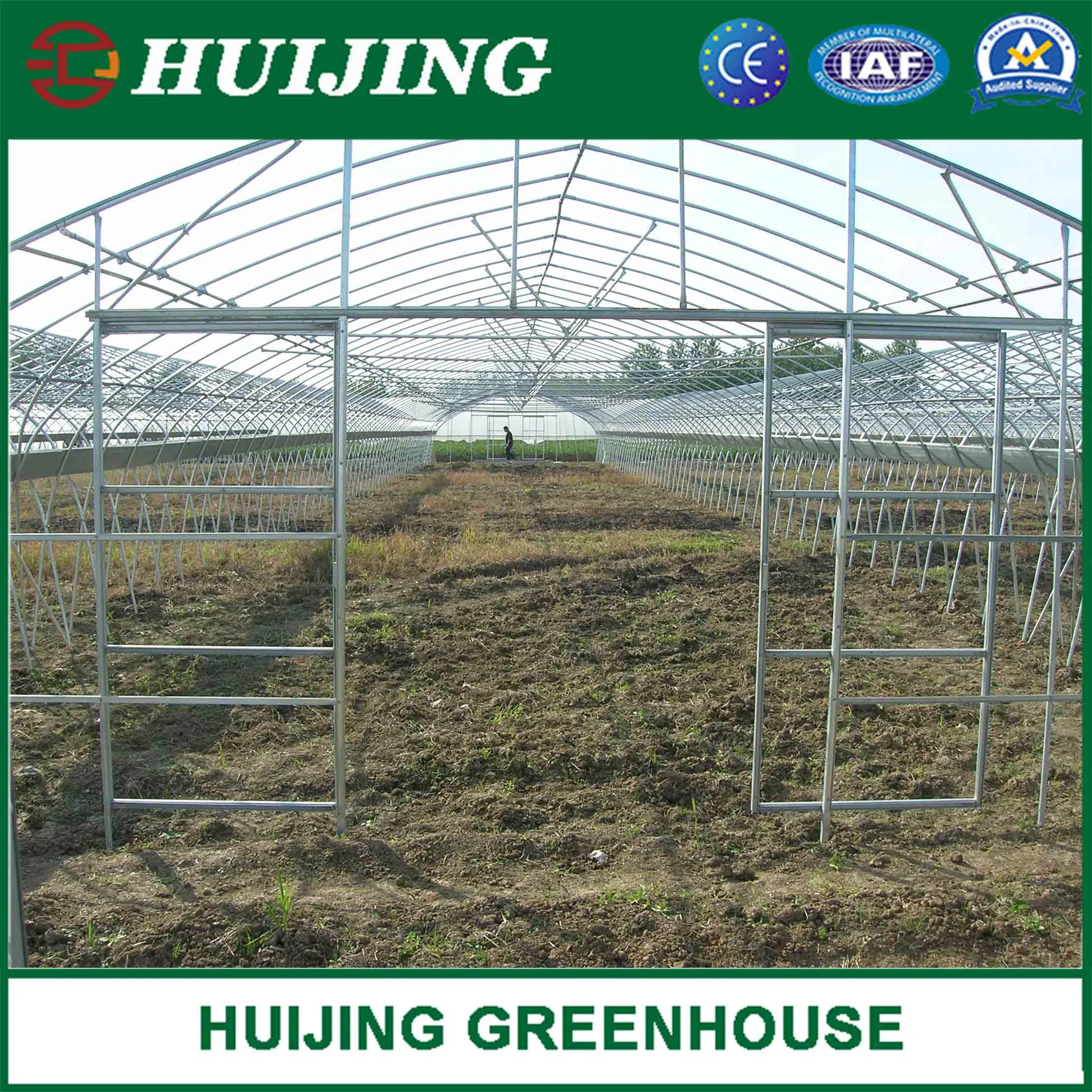 Professional Single Tunnel Plastic Film Covered Greenhouses for Breeding/Beans