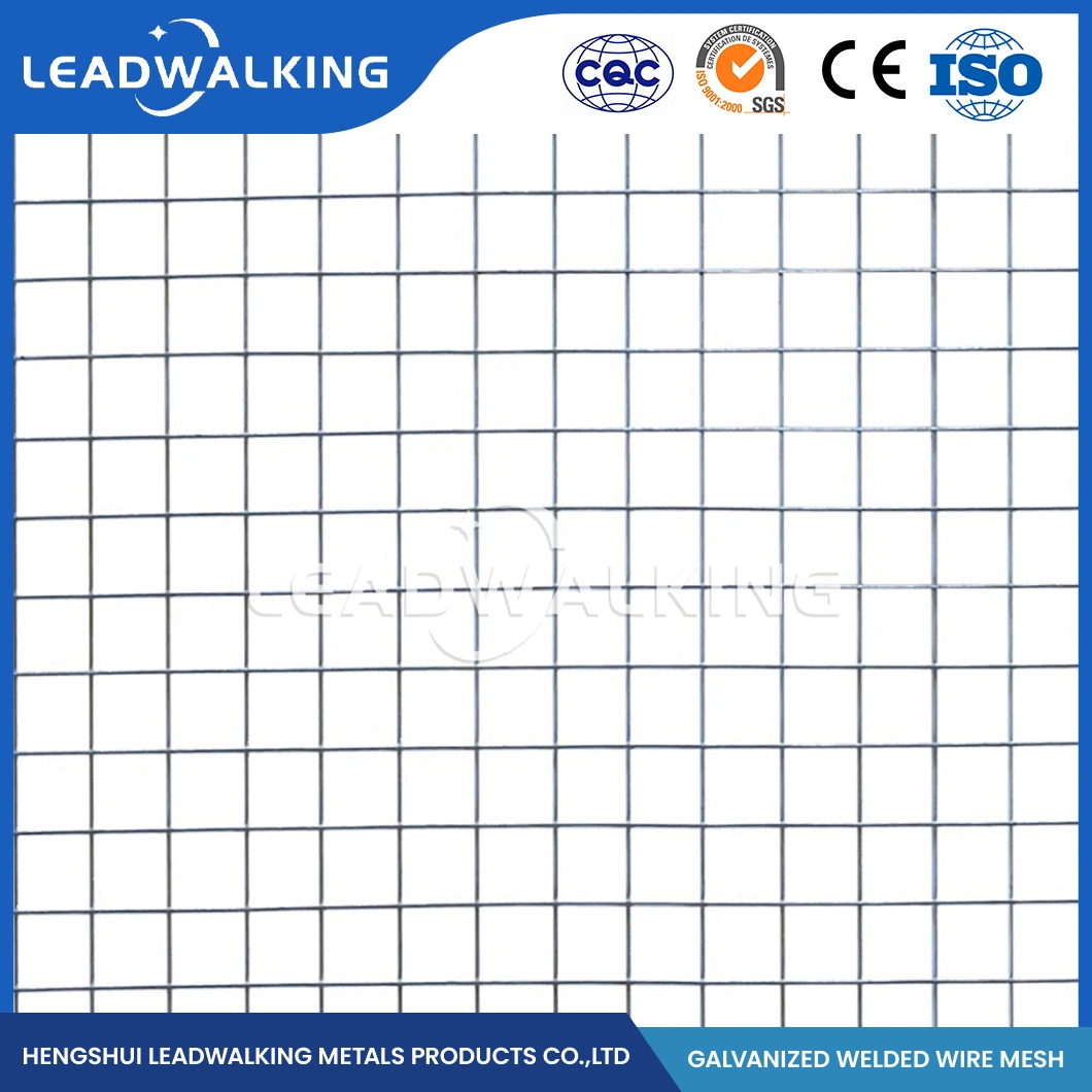 Leadwalking Vinyl Coated Welded Wire Fence Manufacturers Custom 1X1 Welded Wire Mesh China 1/2"X1/2" Inch 3X3 Galvanized Welded Wire Mesh