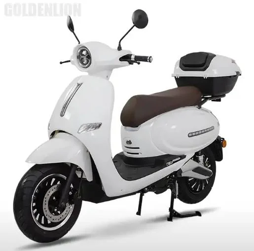 Hot Selling Fashionable Adult Electric Scooter with 2-Wheels