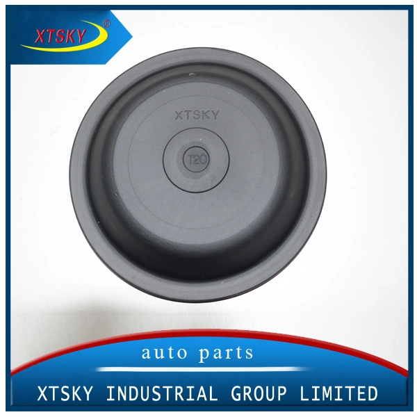 Diaphragm Rubber Product (T24)