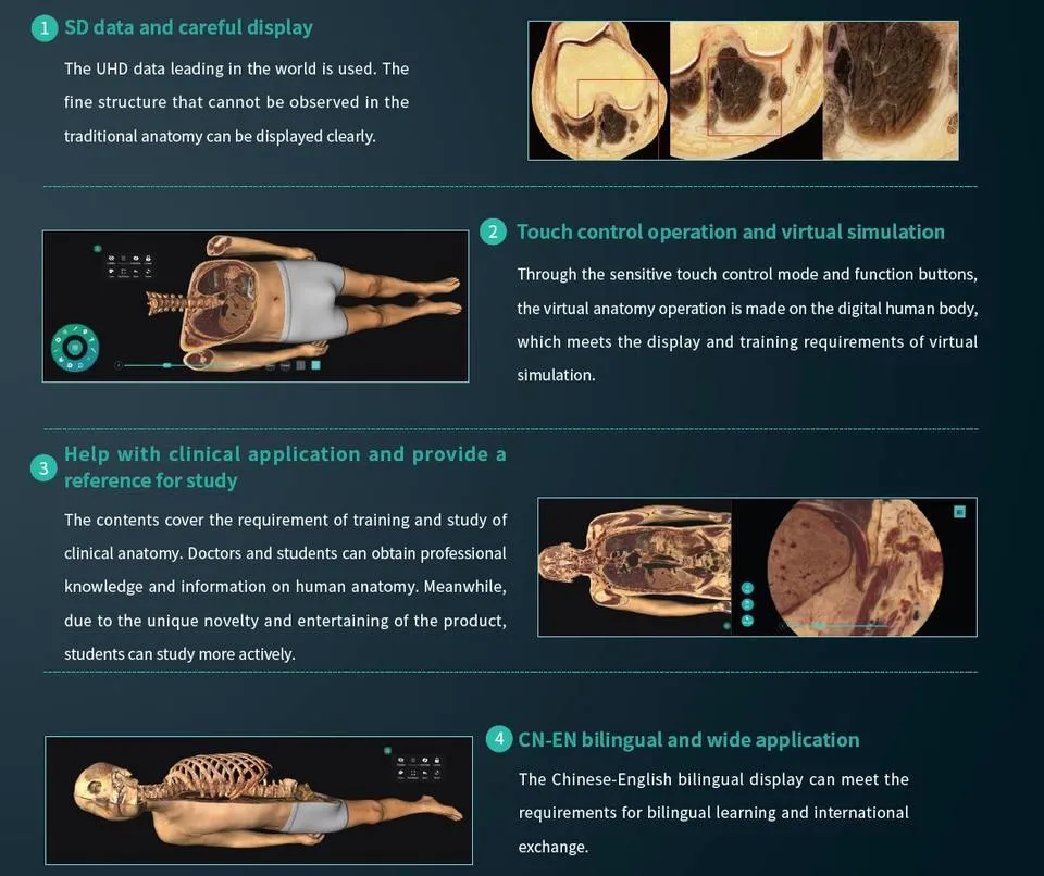 Prix bon marché Anatomage l'éducation pour l'École de médecine de l'anatomie du corps en 3D Tableau d'autopsie virtuelle