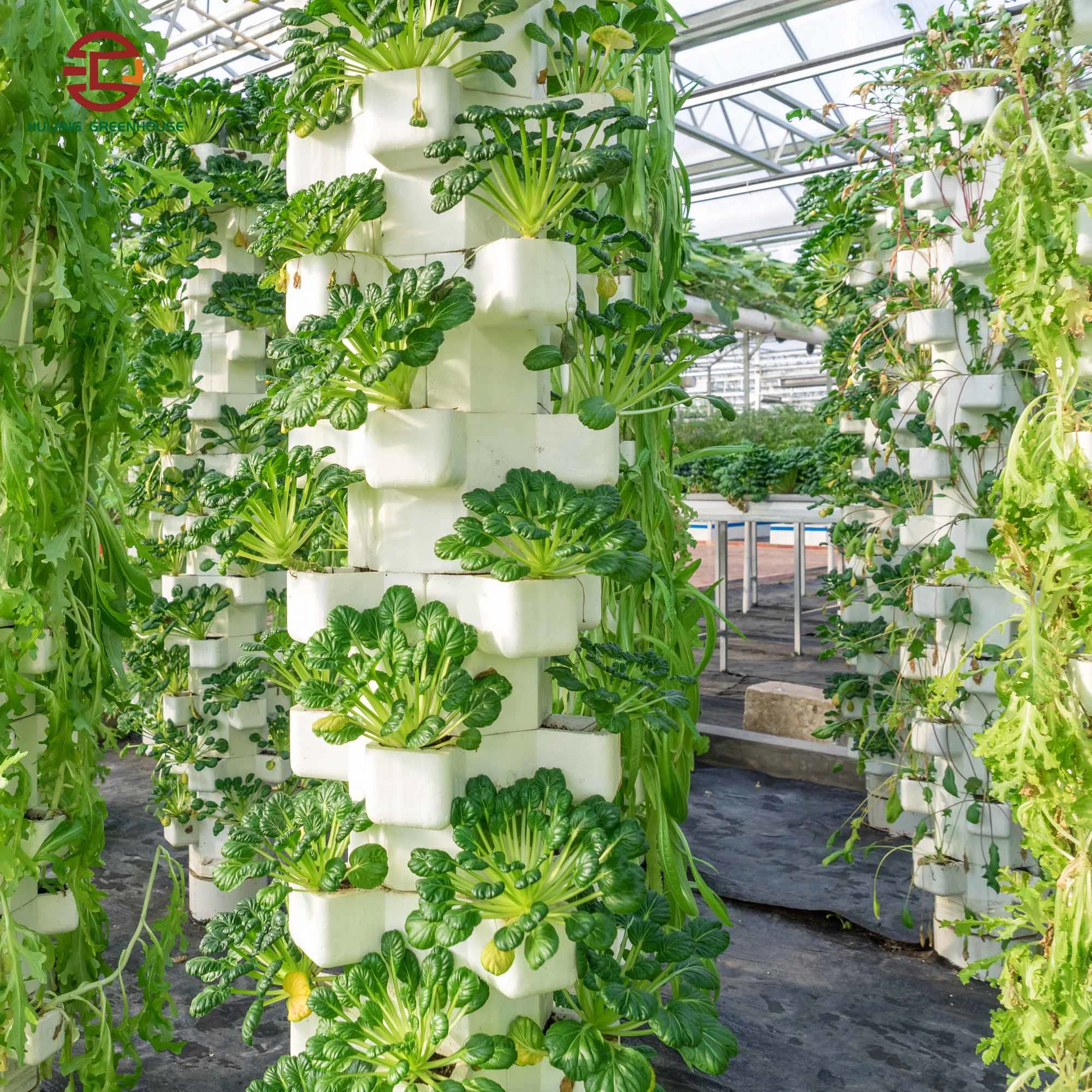 Great Performance Venlo PC/Glass Hydroponic Greenhouse with Ventilation System