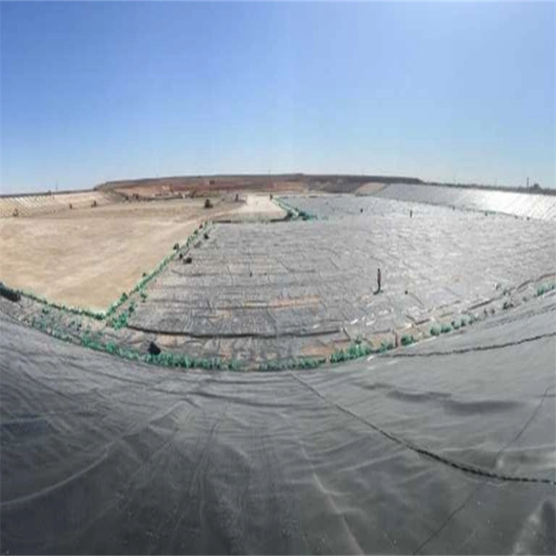 Smooth/Textured HDPE Geomembrane Sheet with Factory Price for Fish Pond Landfill