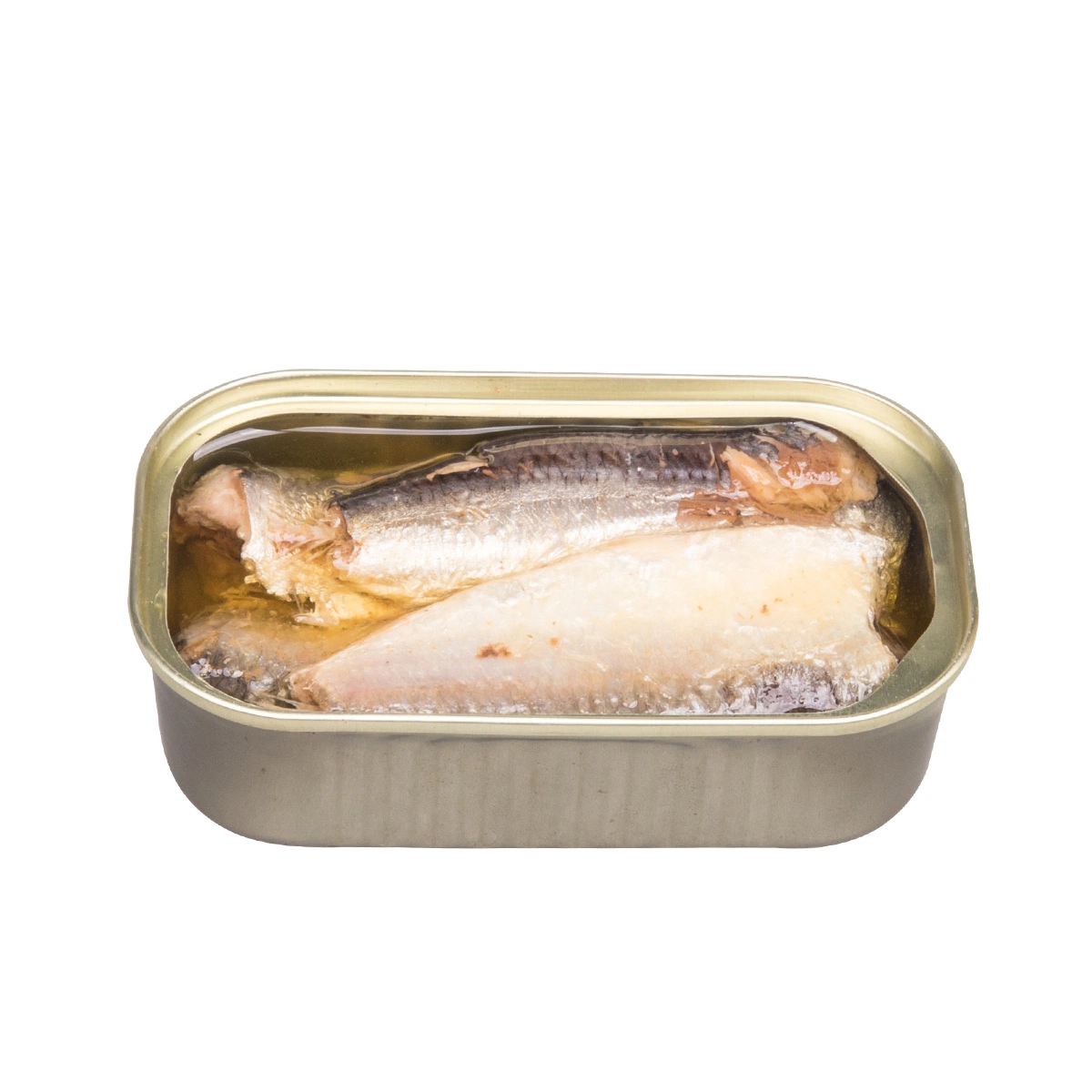 Canned Sardine Pilchard in Oil Supplier