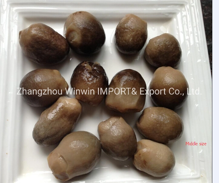 Health Food Canned Straw Mushroom Whole in Brine