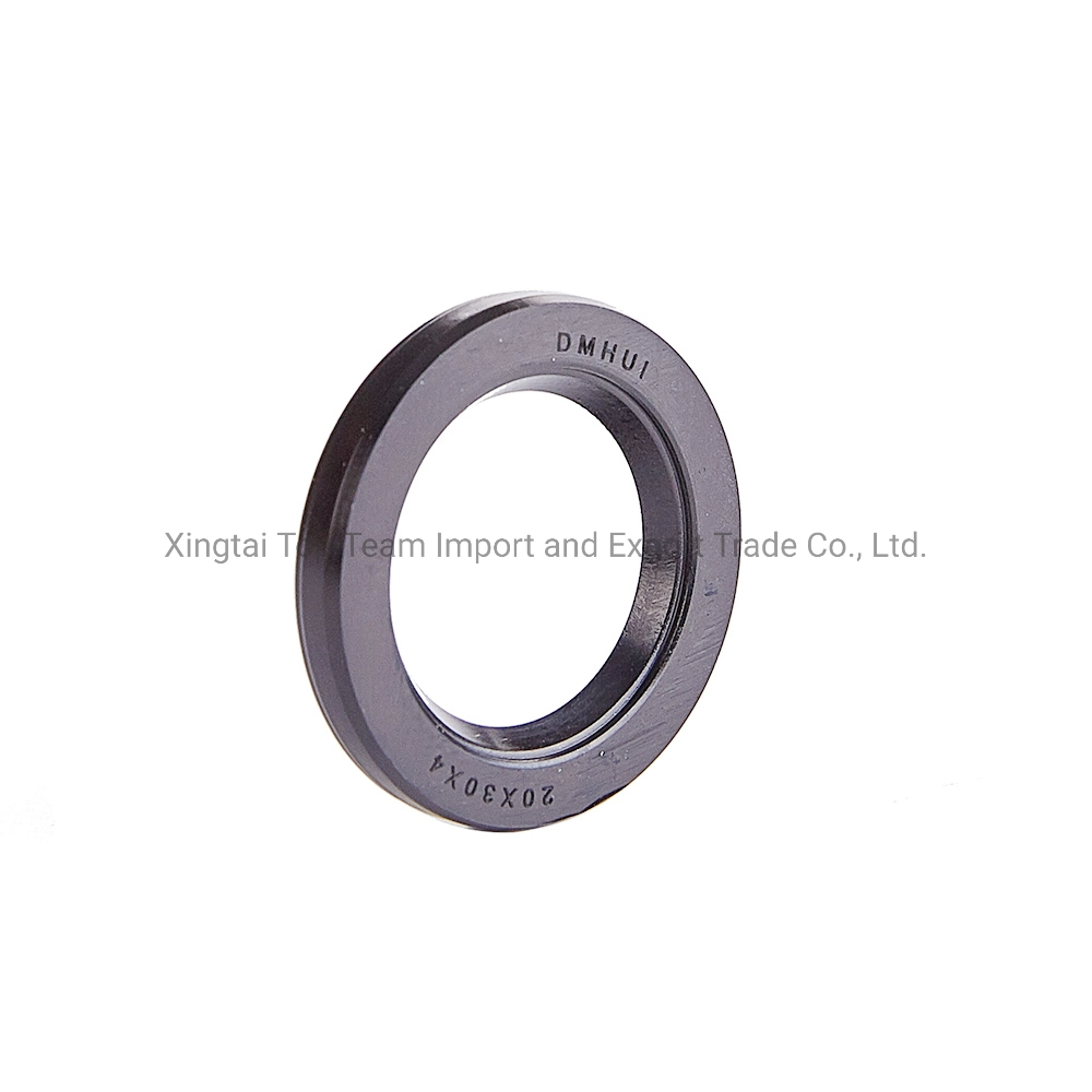 Vc Type Pressure Oil Seal 20*30*4 with NBR Material