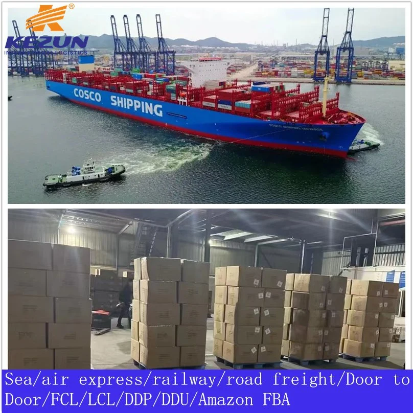 Sea/Air Freight Forwarder FCL LCL Ocean Freight Logistics Shipping From China Port to United Arab Emirates Dubai