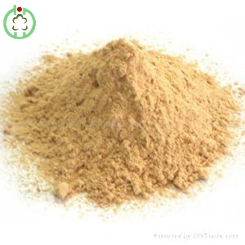 Lysine Animal Feed Competitive Price