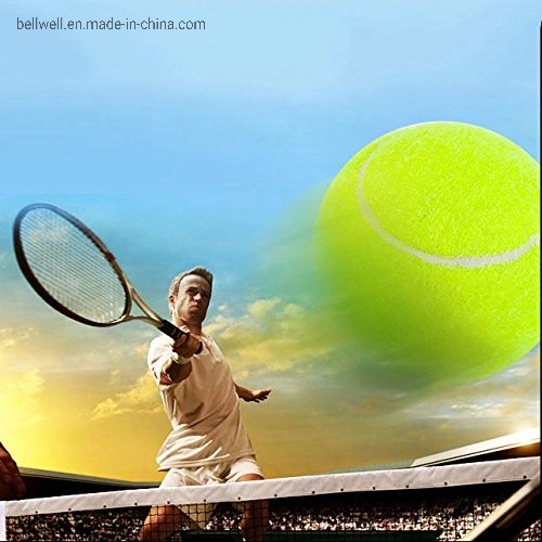 Penn Championship High Altitude Tennis Balls - Extra Duty Felt Pressurized Tennis Balls