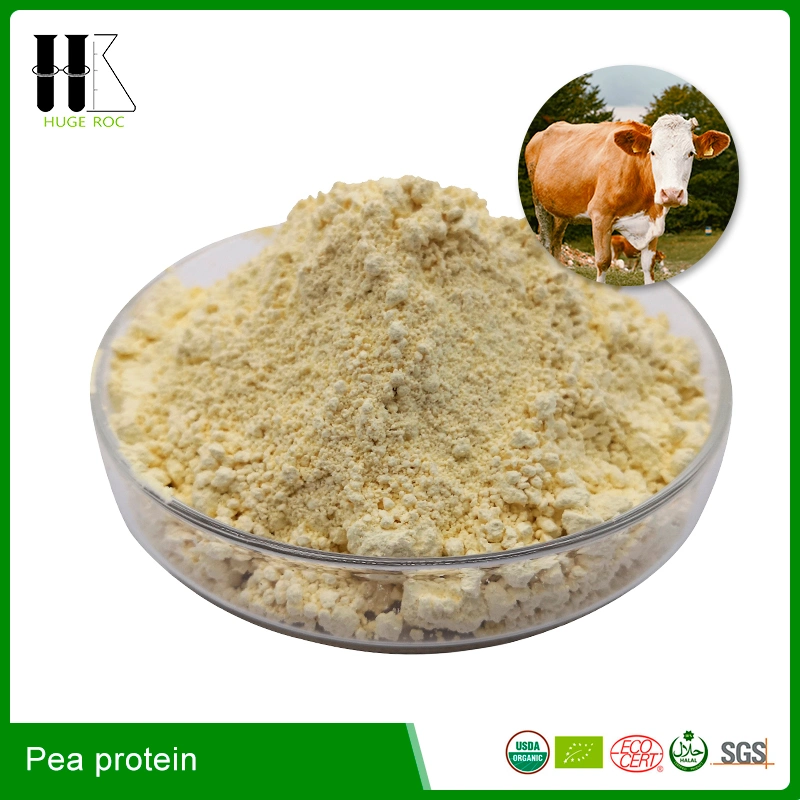 2022 Original Factory Plant Protein 55%, 72%, 80%, 85% Erbsenprotein