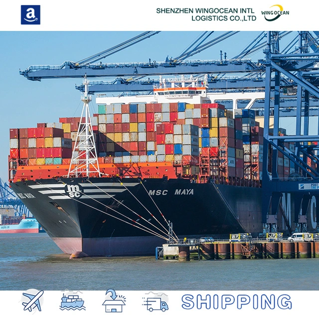 Professional Sea Forwarder Shipping Agent Freight Cost Rates China to Egypt