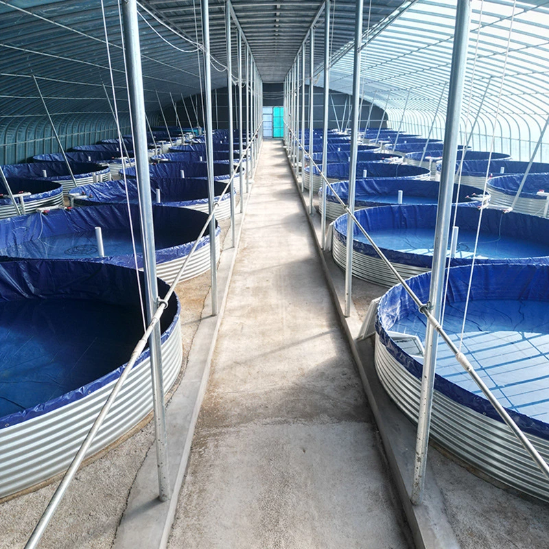 Wholesaler Hot Sale Large Ponds Plastic Fish Farming Tank