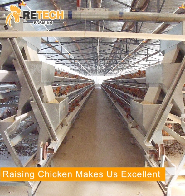 Design Fully Automatic Ladder 3 Tiers A Type Laying Hens Poultry Cage For Egg Layer Chicken