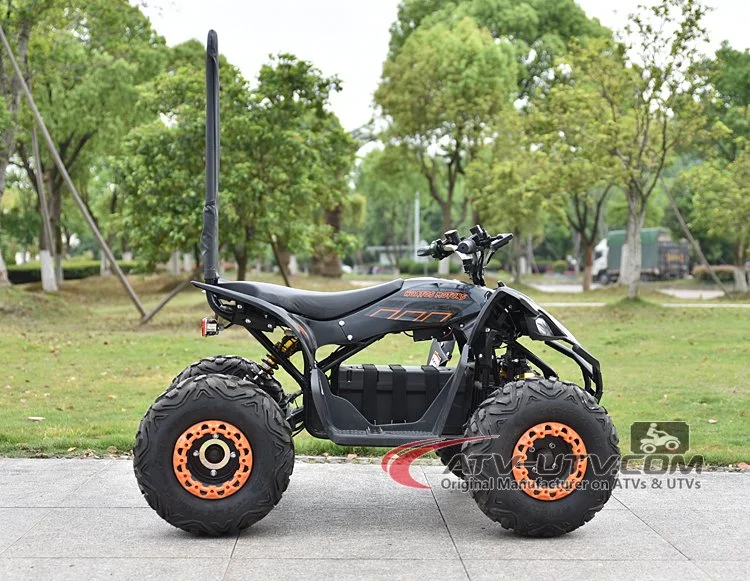 48V 750W Electric Quad ATV Biek con DC Motor sin escobillas con ATV Quad CEE