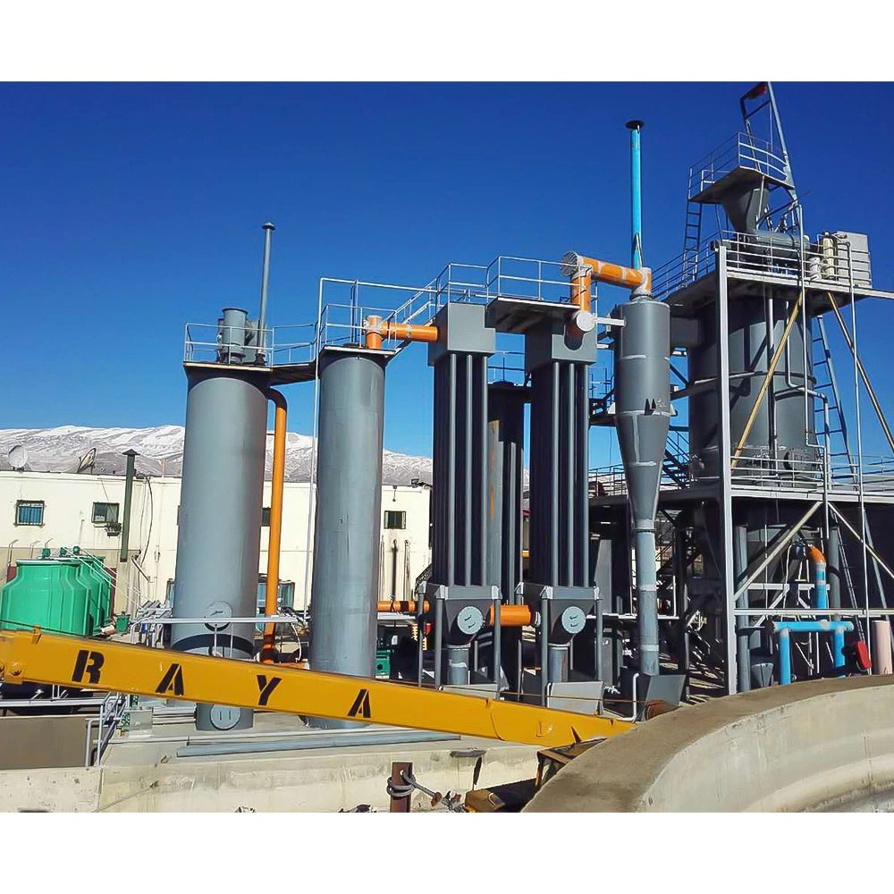 Safe and Efficient Biomass Gasification Power Generation and Heating System