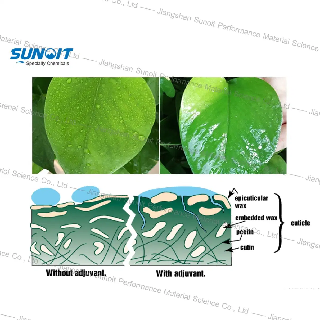 Polyether Trisiloxane Silicone Adjuvant for Agriculture CAS 27306-78-1