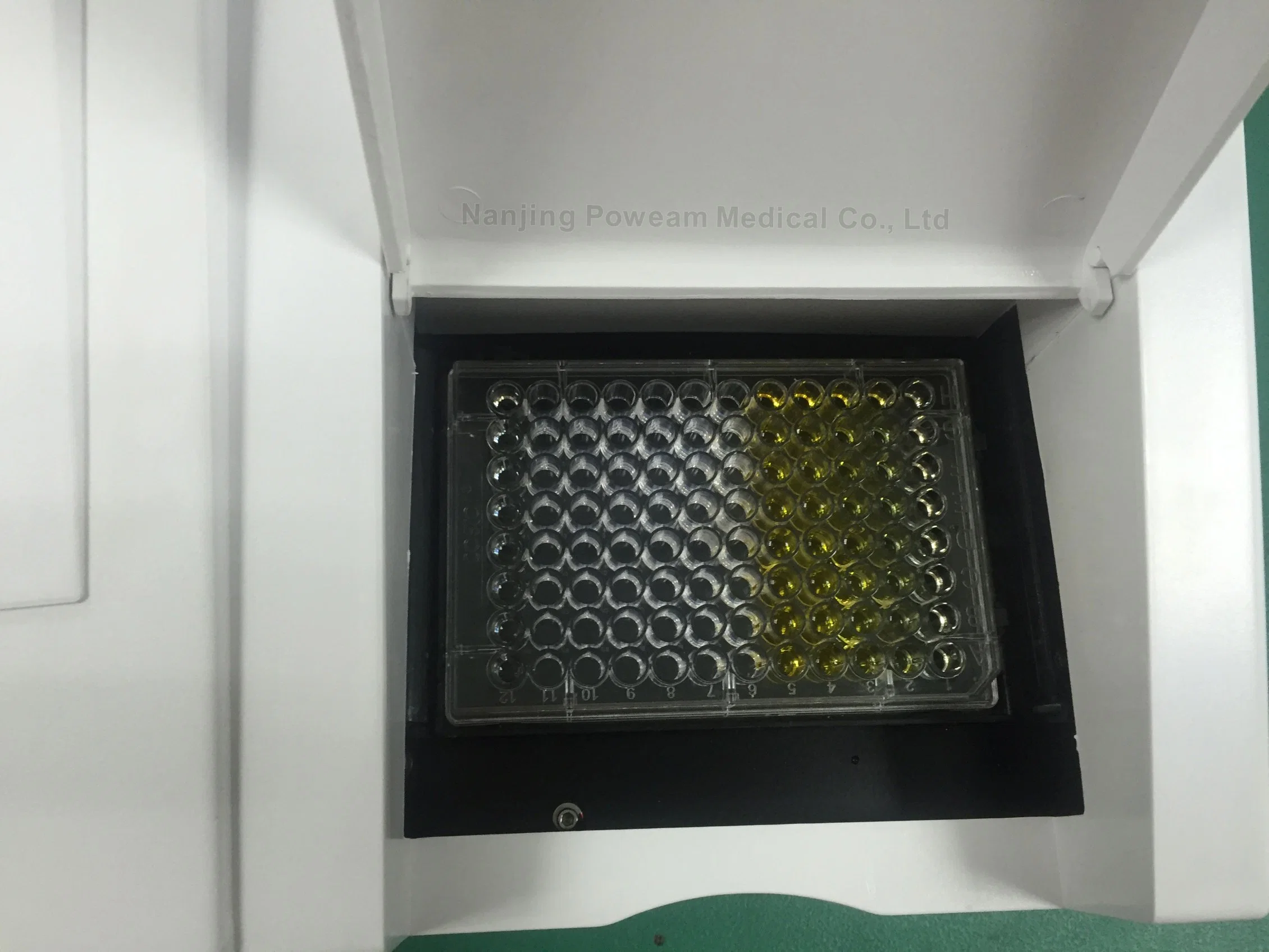 CE Approved Hospital Elisa Microplate Washer (WHY101T)